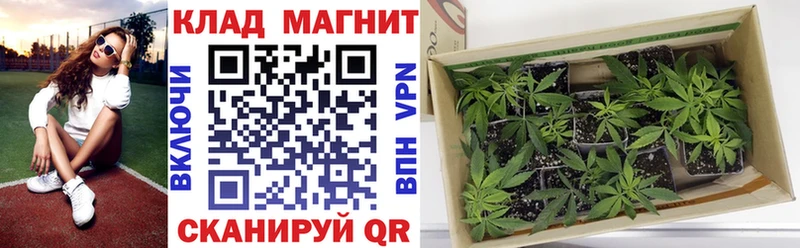 Магазин наркотиков Уварово Галлюциногенные грибы КОКАИН СК Конопля Меф ГАШИШ
