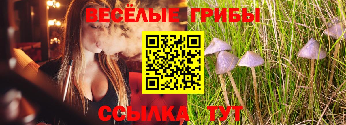 Псилоцибиновые грибы прущие грибы Уварово